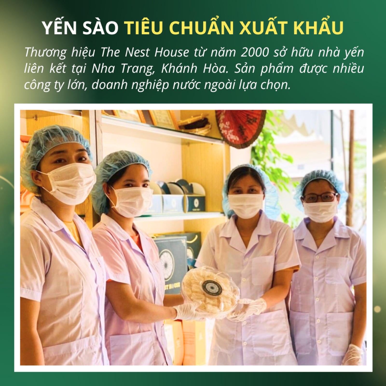 Nhân viên xưởng The Nest House nhặt lông tổ yến thô thủ công bằng nhíp