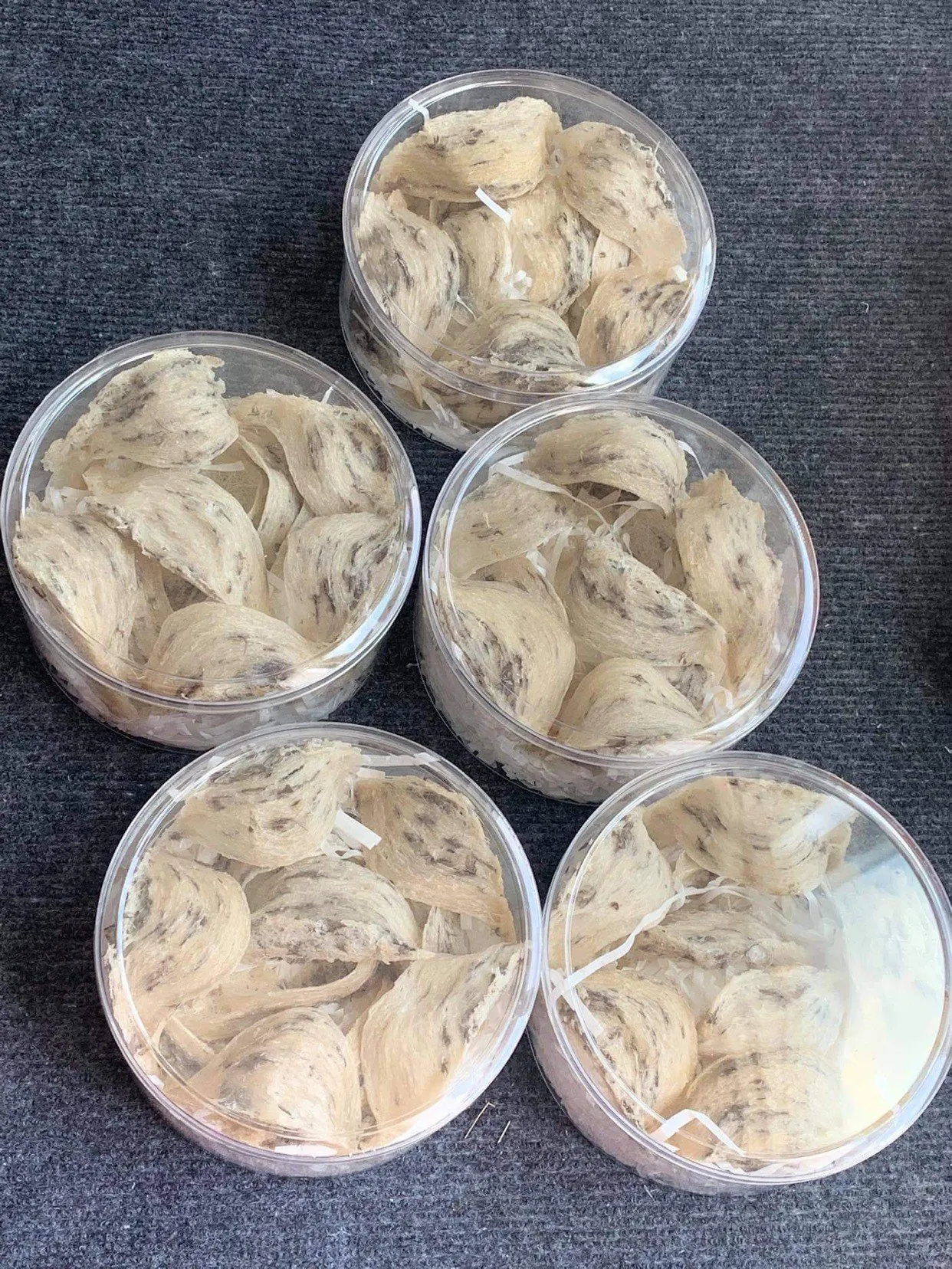 Yến thô nguyên tổ Nha Trang đóng hộp tròn 50g–100g