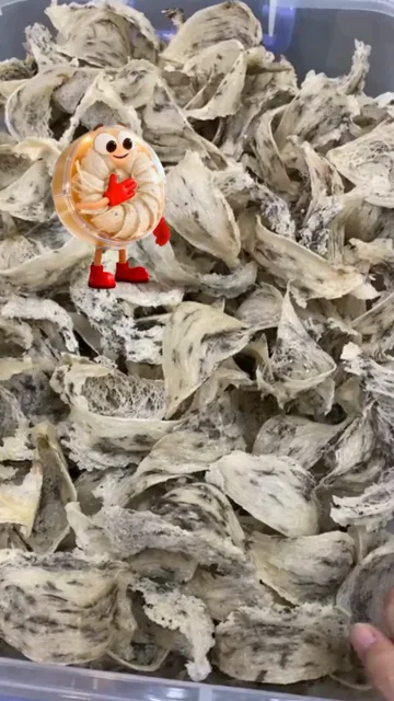 Tổ yến thô cận cảnh còn lông tơ, kèm nhân vật hoạt hình tổ yến