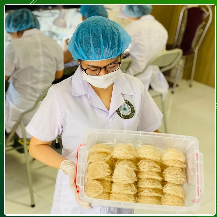 Xưởng sơ chế yến sào The Nest House