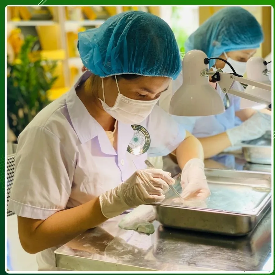 Nhân viên xưởng The Nest House nhặt lông tổ yến thủ công